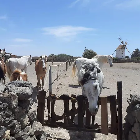 Alaia Tiny House Between Volcanoes And Beach Breaks 酒店 Cotillo