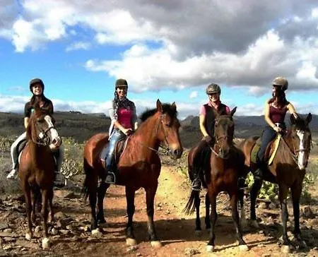 酒店 Alaia Tiny House Between Volcanoes And Beach Breaks *